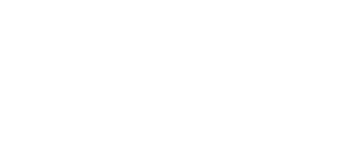 Winngs